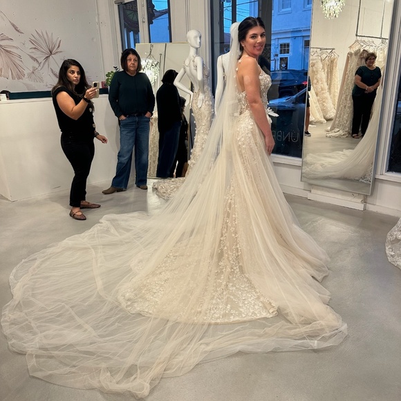 Galia Lahav Wedding Dress, Overskirt, Veil and Blusher - Picture 10 of 11